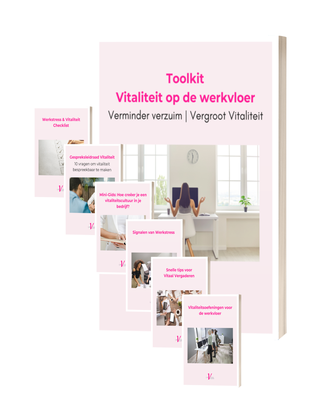 Toolkit inhoud Vitale werkvloer